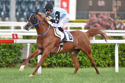 23.03.2024 TARİHLİ İSTANBUL ALTILI GANYAN TAHMİNLERİ