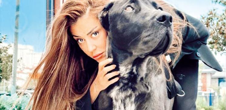 Fenomen Banu Parlak’ın köpeği dehşet saçtı