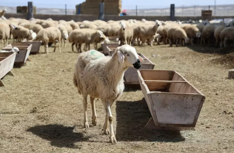 42.000₺ Maaşla Eleman Arıyor, Bulamıyor…