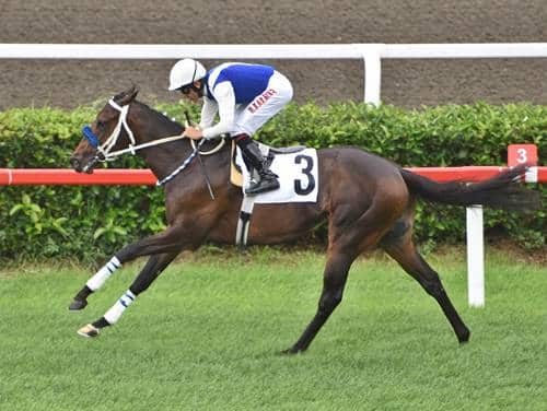 05.03.2024 2. 6’LI GANYAN TAHMİNLERİ 05.03.2024 2. 6’LI GANYAN TAHMİNLERİ