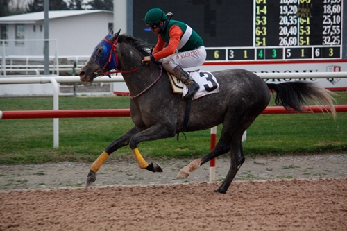 26.03.2024 TARİHLİ ADANA ALTILI GANYAN TAHMİNLERİ