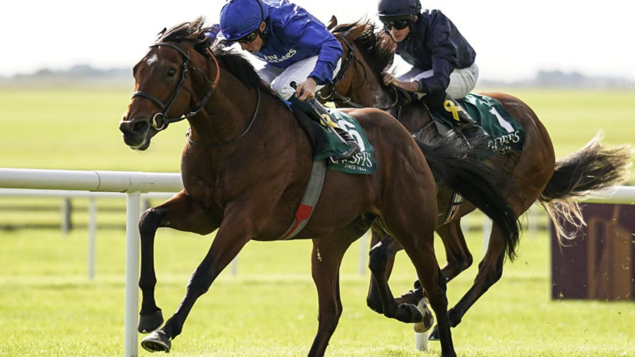 29.03.2024 TARİHLİ İZMİR ALTILI GANYAN TAHMİNLERİ