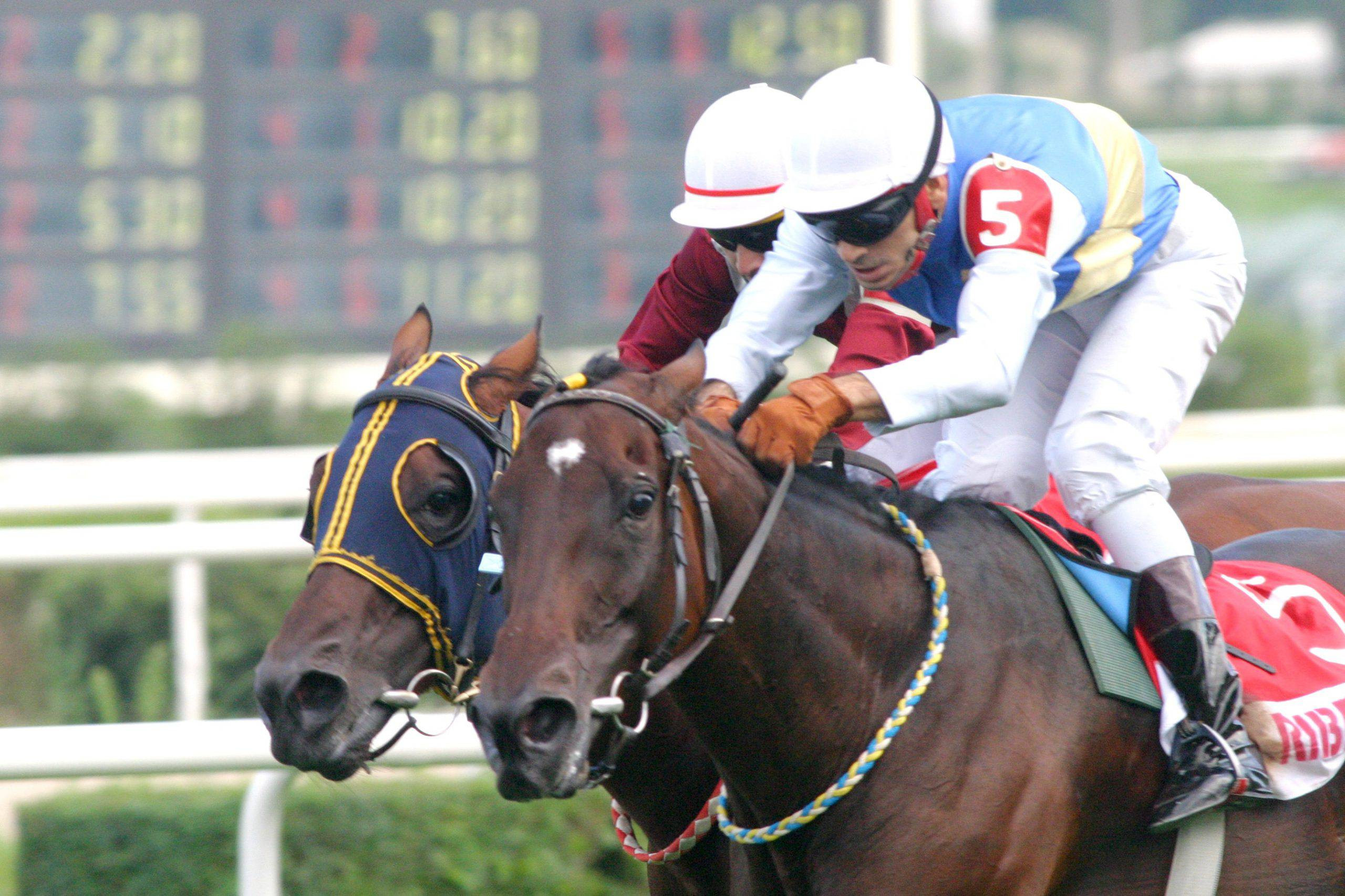 20.03.2024 TARİHLİ İSTANBUL 6 GANYAN TAHMİNLERİ