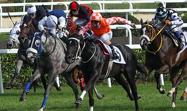 25.03.2024 TARİHLİ BURSA 2. ALTILI GANYAN TAHMİNLERİ