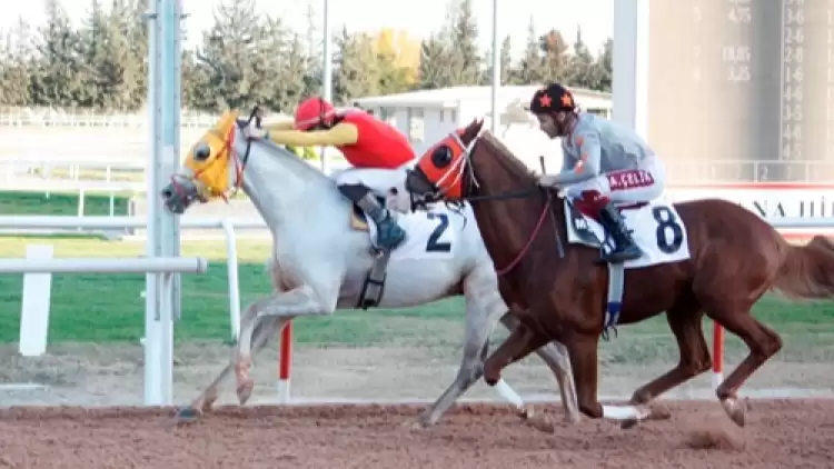 23.04.2024 TARİHLİ ADANA 2. ALTILI GANYAN TAHMİNLERİ