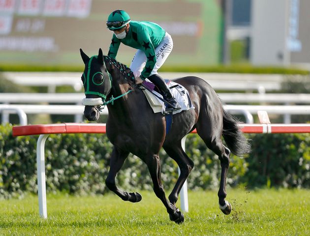 09.04.2024 TARİHLİ ADANA 2. ALTILI GANYAN TAHMİNLERİ 09.04.2024 TARİHLİ ADANA 2. ALTILI GANYAN TAHMİNLERİ