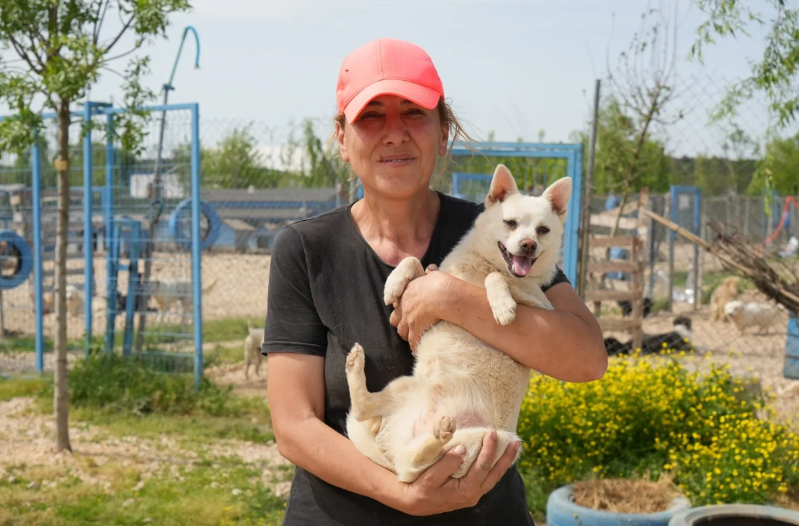 Sokağa Terk Edilen Canların Sığınma Yurdu: HEPAD!..