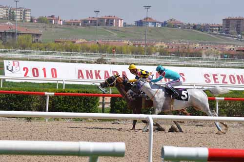 18.04.2024 TARİHLİ ANKARA 2. ALTILI GANYAN TAHMİNLERİ