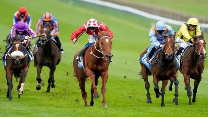 04.04.2024 TARİHLİ KOCAELİ 2. ALTILI GANYAN TAHMİNLERİ