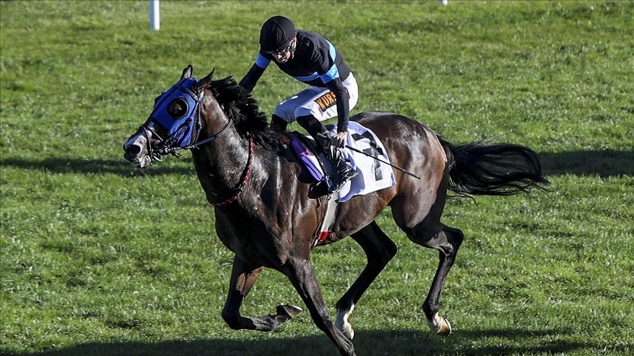 29.04.2024 TARİHLİ BURSA 2. ALTILI GANYAN TAHMİNLERİ