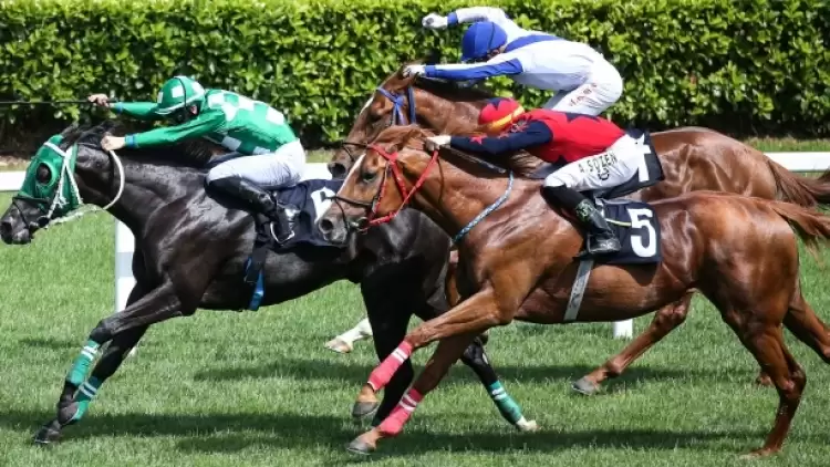 30.05.2024 TARİHLİ ANKARA 2. ALTILI GANYAN TAHMİNLERİ 30.05.2024 TARİHLİ ANKARA 2. ALTILI GANYAN TAHMİNLERİ