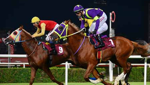 04.05.2024 TARİHLİ ANKARA 2. ALTILI GANYAN TAHMİNLERİ