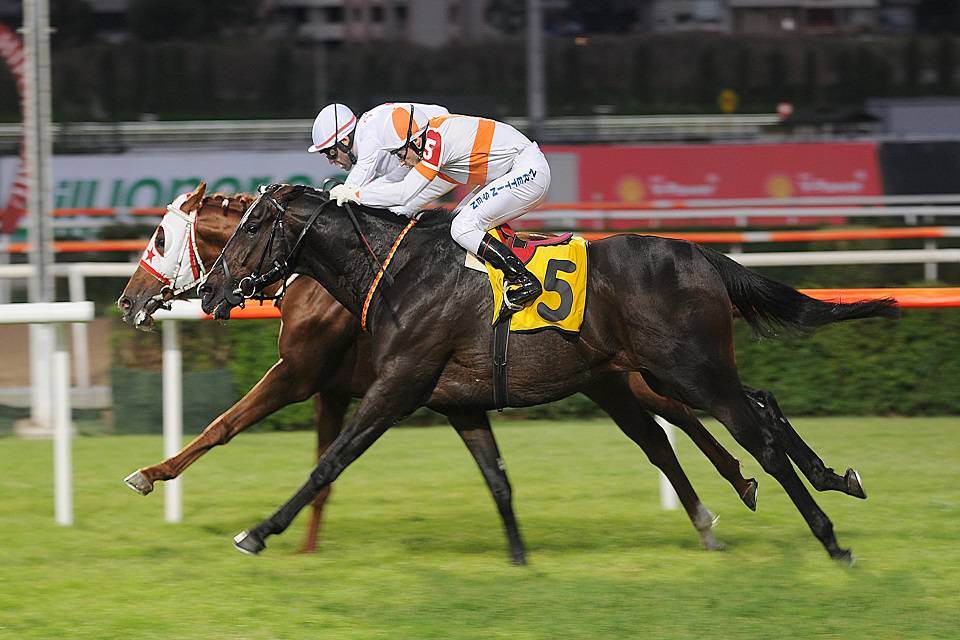 10.05.2024 TARİHLİ İSTANBUL 2. ALTILI GANYAN TAHMİNLERİ