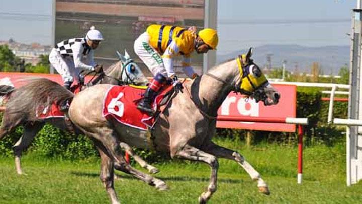 14.05.2024 TARİHLİ ANKARA VE KOCAELİ 2. ALTILI GANYAN TAHMİNLERİ