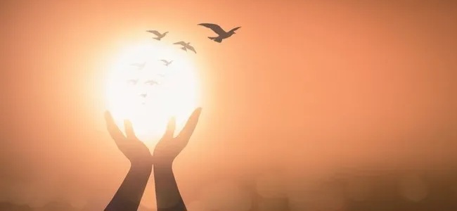 HAYAT NEDİR SİZCE… HAYAT NEDİR SİZCE…