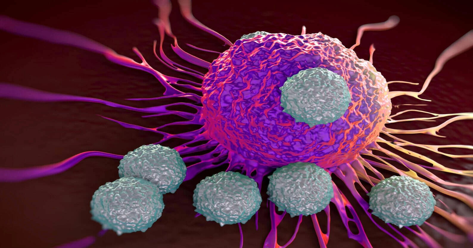 Türkiye’nin ‘kanser’ haritası: TÜİK açıkladı: ‘Kanserden ölüm en çok bu şehirde