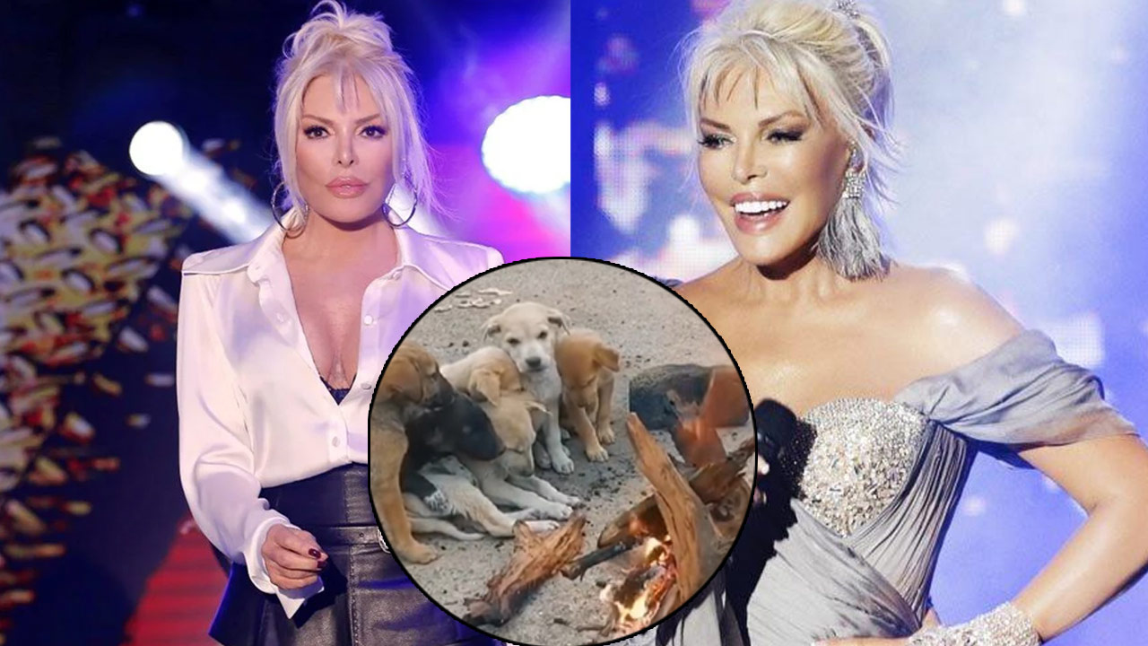 Süperstar Ajda Pekkan’dan sokak hayvanları çağrısı: “Belediyeler görevini yapmıyorsa onları öldüremezsiniz”
