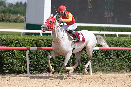 02.05.2024 TARİHLİ ANKARA 2. ALTILI GANYAN TAHMİNLERİ