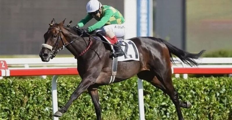 11.05.2024 TARİHLİ ANKARA 2. ALTILI GANYAN VE ANTALYA 2. ALTILI GANYAN TAHMİNLERİ 11.05.2024 TARİHLİ ANKARA 2. ALTILI GANYAN VE ANTALYA 2. ALTILI GANYAN TAHMİNLERİ