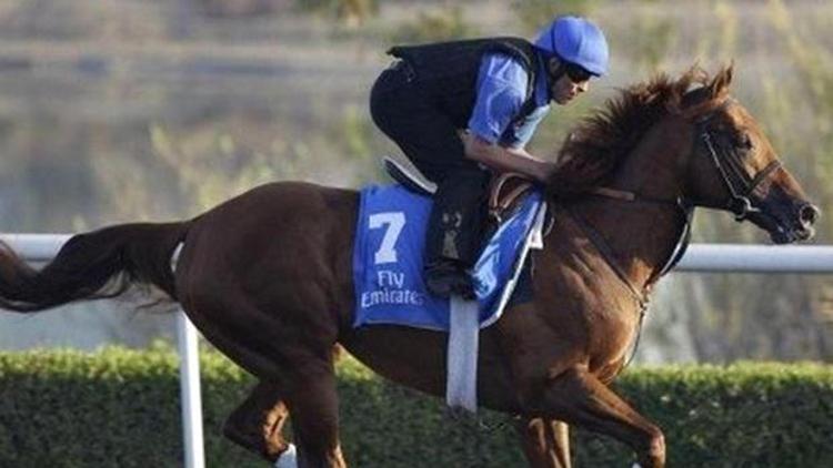 26.06.2024 TARİHLİ İSTANBUL 2. ALTILI GANYAN TAHMİNLERİNDE İKRAMİYE ÇIKMIŞTIR: TÜRK HABER MAGAZİN FARKIYLA