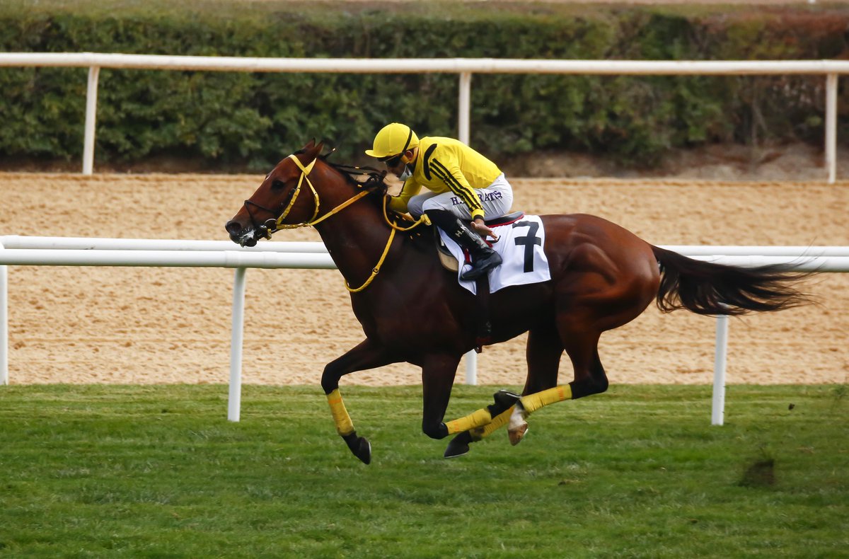 25.06.2024 TARİHLİ ANKARA 2. ALTILI GANYAN TAHMİNLERİ 25.06.2024 TARİHLİ ANKARA 2. ALTILI GANYAN TAHMİNLERİ