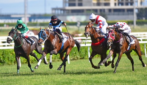 12.07.2024 TARİHLİ 2. İSTANBUL ALTILI GANYAN TAHMİNLERİ 12.07.2024 TARİHLİ 2. İSTANBUL ALTILI GANYAN TAHMİNLERİ