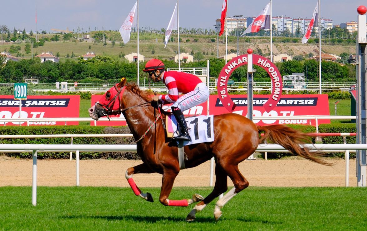 16.07.2024 TARİHLİ ANKARA 2. ALTILI GANYAN TAHMİNLERİ 16.07.2024 TARİHLİ ANKARA 2. ALTILI GANYAN TAHMİNLERİ