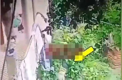 Ordu’da üvey babaanne dehşeti: 2 yaşındaki torununu balkondan attı