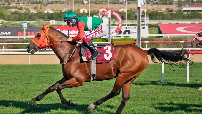 19.09.2024 TARİHLİ ANKARA 2. ALTILI GANYAN TAHMİNLERİ 19.09.2024 TARİHLİ ANKARA 2. ALTILI GANYAN TAHMİNLERİ