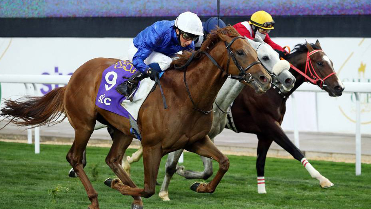 20.09.2024 TARİHLİ İSTANBUL 2. ALTILI GANYAN TAHMİNLERİ 20.09.2024 TARİHLİ İSTANBUL 2. ALTILI GANYAN TAHMİNLERİ