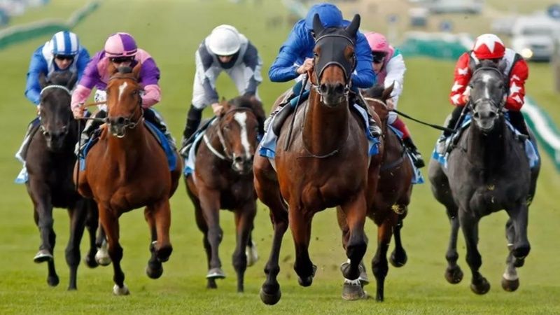 25.09.2024 TARİHLİ İSTANBUL 2. ALTILI GANYAN TAHMİNLERİ 25.09.2024 TARİHLİ İSTANBUL 2. ALTILI GANYAN TAHMİNLERİ