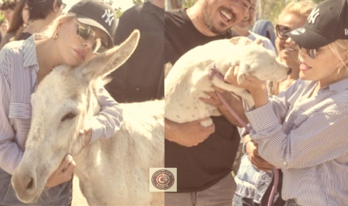 Süperstar Ajda Pekkan’dan yürek ısıtan ziyaret! Engelli köpeğe “Lola” ismini verdi Süperstar Ajda Pekkan’dan yürek ısıtan ziyaret! Engelli köpeğe “Lola” ismini verdi